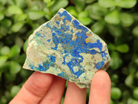 Natural Azurite And Malachite On Dolomite Specimens x 12 From Kaokoveld, Namibia