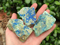 Natural Azurite And Malachite On Dolomite Specimens x 12 From Kaokoveld, Namibia