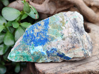 Natural Azurite And Malachite On Dolomite Specimens x 12 From Kaokoveld, Namibia