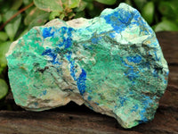 Natural Azurite And Malachite On Dolomite Specimens x 12 From Kaokoveld, Namibia