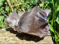 Natural XL Multi Terminated Smokey Quartz Crystal x 1 From Mulanje, Malawi
