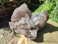 Natural XL Multi Terminated Smokey Quartz Crystal x 1 From Mulanje, Malawi