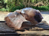 Natural XL Multi Terminated Smokey Quartz Crystal x 1 From Mulanje, Malawi