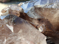 Natural XL Multi Terminated Smokey Quartz Crystal x 1 From Mulanje, Malawi