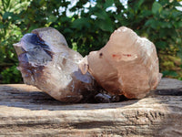 Natural XL Multi Terminated Smokey Quartz Crystal x 1 From Mulanje, Malawi