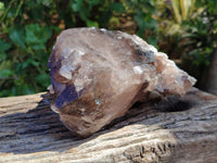 Natural XL Multi Terminated Smokey Quartz Crystal x 1 From Mulanje, Malawi