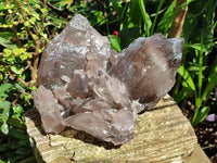 Natural XL Multi Terminated Smokey Quartz Crystal x 1 From Mulanje, Malawi