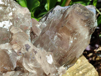 Natural XL Multi Terminated Smokey Quartz Crystal x 1 From Mulanje, Malawi