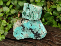 Natural Drusy Coated Chrysocolla On Dolomite With Malachite And Heterogenite Specimens x 6 From Lupoto Mine, Congo