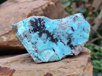 Natural Drusy Coated Chrysocolla On Dolomite With Malachite And Heterogenite Specimens x 6 From Lupoto Mine, Congo