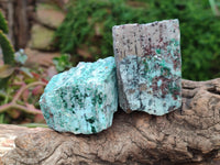 Natural Drusy Coated Chrysocolla On Dolomite With Malachite And Heterogenite Specimens x 6 From Lupoto Mine, Congo