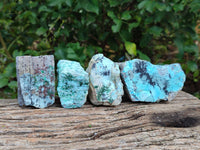 Natural Drusy Coated Chrysocolla On Dolomite With Malachite And Heterogenite Specimens x 6 From Lupoto Mine, Congo