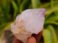 Natural Mixed Amethyst Spirit Quartz Clusters x 35 From Boekenhouthoek, South Africa