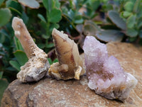 Natural Mixed Amethyst Spirit Quartz Clusters x 35 From Boekenhouthoek, South Africa
