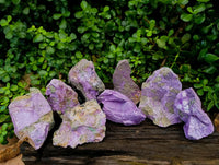 Natural Stichtite Cobbed Specimens x 8 From Barberton, South Africa