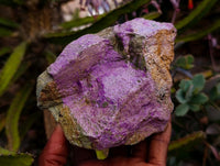 Natural Stichtite Cobbed Specimens x 8 From Barberton, South Africa
