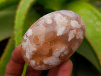 Polished Flower Agate Galets x 12 From Antsahalova, Madagascar