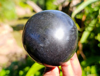 Polished Large Black Basalt Mushrooms x 6 From Madagascar