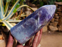 Polished Lepidolite Points x 3 From Madagascar