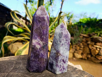 Polished Lepidolite Points x 3 From Madagascar
