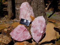 Natural Cobbed Rose Quartz Specimens x 3 From Northern Cape, South Africa