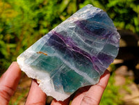 Polished On One Side Watermelon Fluorite Slices x 6 From Uis, Namibia