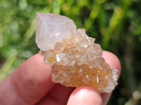 Natural Limonite Fairy Spirit Quartz Crystals x 70 From Boekenhouthoek, South Africa