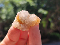 Natural Limonite Fairy Spirit Quartz Crystals x 70 From Boekenhouthoek, South Africa