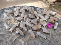 Natural Limonite Fairy Spirit Quartz Crystals x 70 From Boekenhouthoek, South Africa