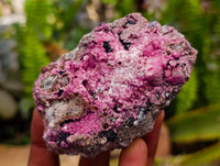 Natural Salrose Cobaltion Dolomite with Malachite Specimens x 12 From Kakanda, Congo