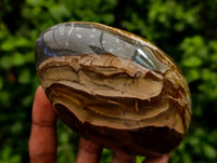 Polished Polychrome Jasper Standing Free Forms x 3 From NW Coast, Madagascar