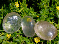Polished Clear Quartz Galets x 12 From Madagascar