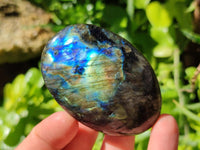 Polished Labradorite Galets x 25 From Tulear, Madagascar