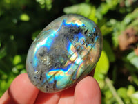 Polished Labradorite Galets x 25 From Tulear, Madagascar