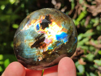 Polished Labradorite Galets x 25 From Tulear, Madagascar