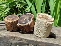 Polished On One Side Petrified Wood Branches x 3 From Gokwe, Zimbabwe