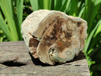 Polished On One Side Petrified Wood Branches x 3 From Gokwe, Zimbabwe