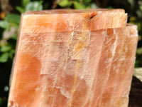 Natural Sunset Orange Calcite Specimens x 4 From Spitzkop, Namibia