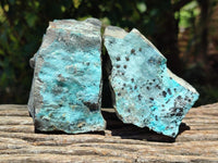 Natural Drusy Coated Chrysocolla On Dolomite Specimens x 6 From Likasi, Congo