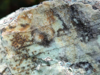 Natural Drusy Coated Chrysocolla On Dolomite Specimens x 6 From Likasi, Congo