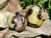 Polished Septerye Galets x 12 From Mahajanga, Madagascar