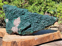 Natural XXL Botryoidal Malachite Specimen In Quartz x 1 From Congo