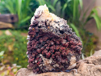 Natural Goethite Coated Blacknite Quartz Clusters x 5 From Madagascar