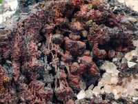 Natural Goethite Coated Blacknite Quartz Clusters x 5 From Madagascar