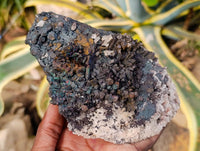 Natural Goethite Coated Blacknite Quartz Clusters x 5 From Madagascar