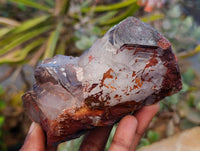 Natural Goethite Coated Blacknite Quartz Clusters x 5 From Madagascar