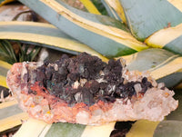 Natural Goethite Coated Blacknite Quartz Clusters x 5 From Madagascar