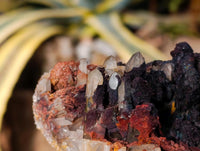 Natural Goethite Coated Blacknite Quartz Clusters x 5 From Madagascar