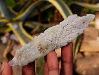Natural Drusy Quartz Coated Spearhead Calcite Specimens x 24 From Albert's Mountain, Lesotho