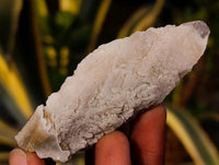 Natural Drusy Quartz Coated Spearhead Calcite Specimens x 24 From Albert's Mountain, Lesotho